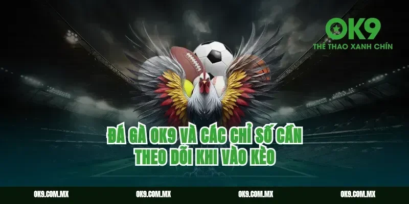 Đá Gà Ok9 và các chỉ số cần theo dõi khi vào kèo