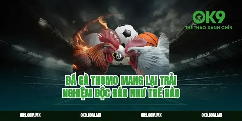 Đá Gà Thomo Mang Lại Trải Nghiệm Độc Đáo Như Thế Nào