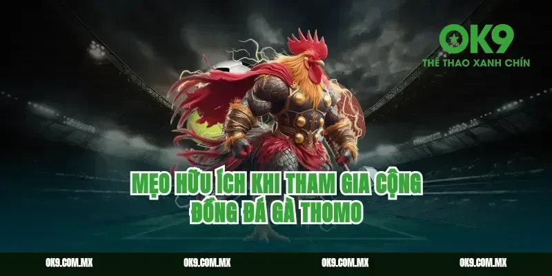 Mẹo Hữu Ích Khi Tham Gia Cộng Đồng Đá Gà Thomo