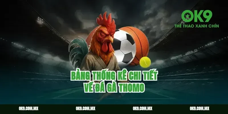 Bảng Thống Kê Chi Tiết Về Đá Gà Thomo